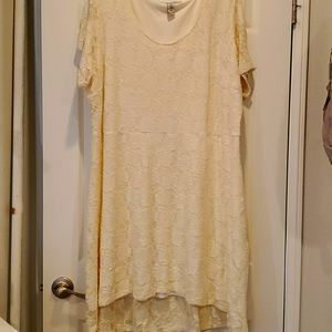 All over Embroidered Skater Dress